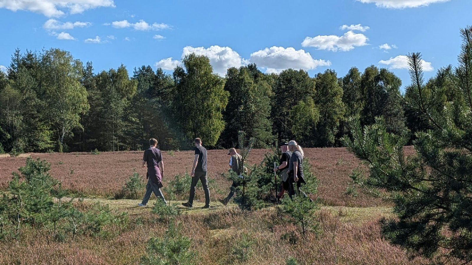 Erfolgreiche Workation in der Lüneburger Heide